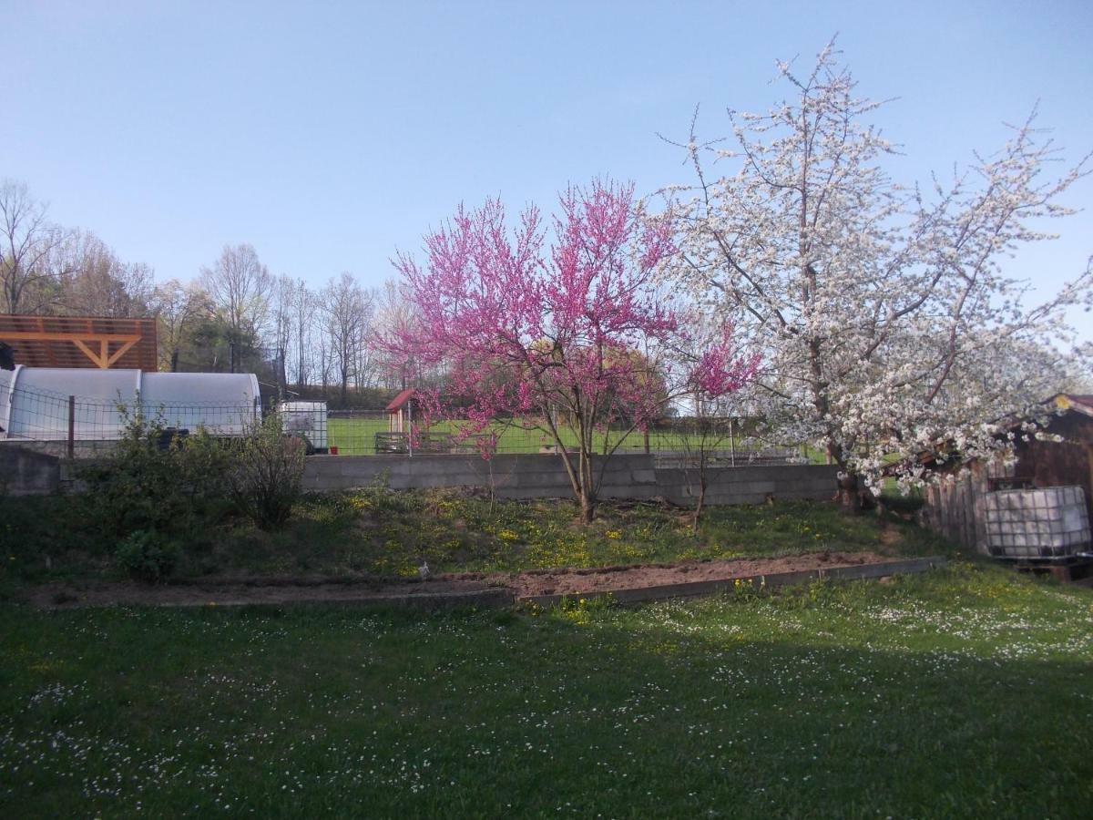 Šumavský domek v Záhoří Bosice Esterno foto